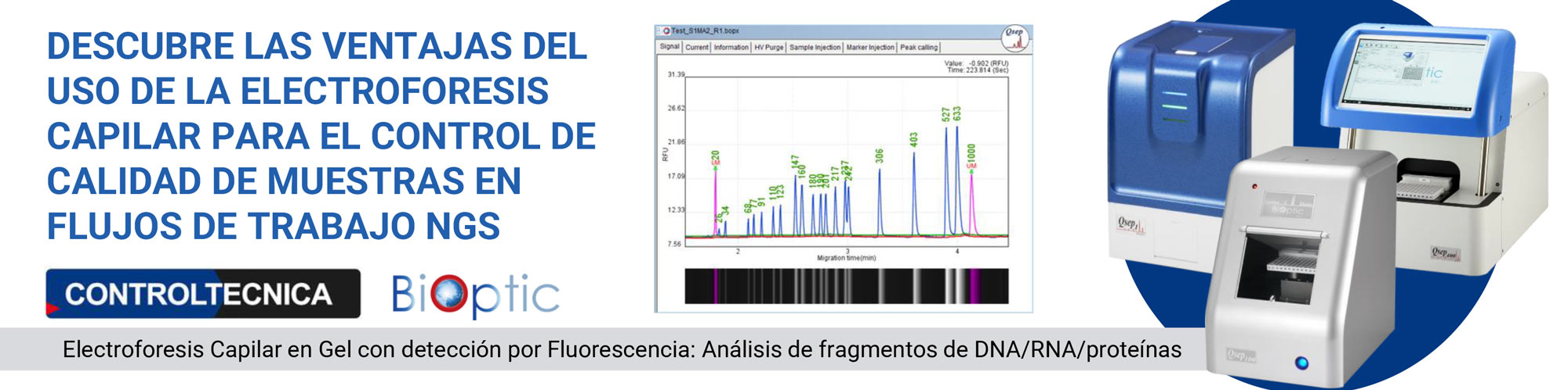 electroforesis capilar